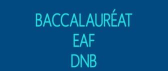 Nous lançons des cours de préparation aux examens français pour l’année scolaire 2025-2026
